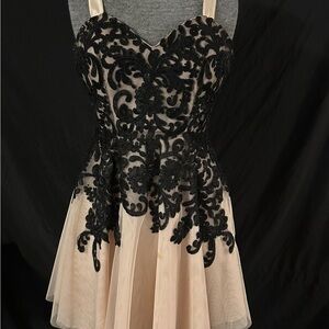 Elegant Black and Cream Lace Dress